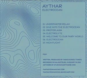 ElectrOcean  /  Winter Walk