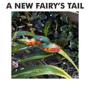 A New Fairys Tail