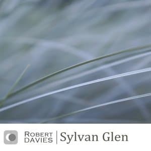 Sylvan Glen