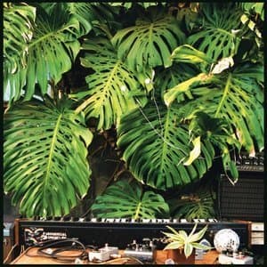 Shirley Shirley Shirley