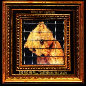 She and Me Fall Together in Free Death