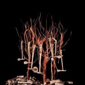 Des Marteaux & Des Cordes