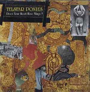 Does Your Heart Have Wings?