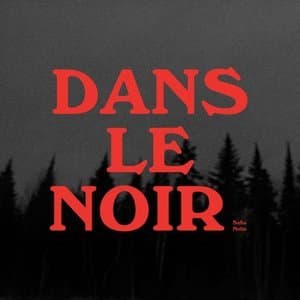 Dans le noir