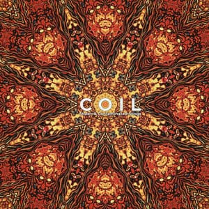 Stolen & Contaminated Songs