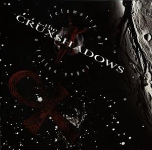 Telemetry Of A Fallen Angel