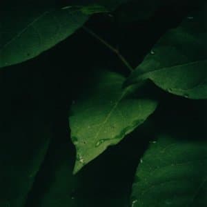 A few moments in which I was met with an experience that I might never have again