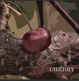 Cherry