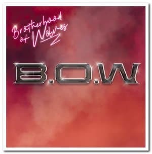 Brotherhood Of Wolves