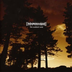 The Audient Void