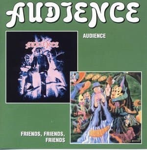 Audience / Friends, Friends, Friends