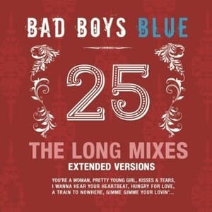25 (The Long Mixes - Extended Versions)