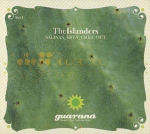 Salinas Ibiza Chillout Vol.1