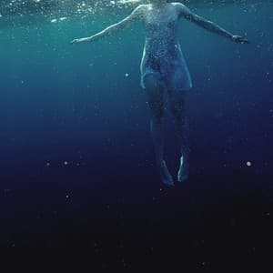 The Shark in Your Water