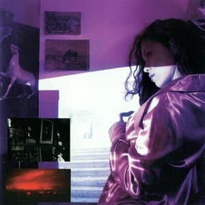 A Thousand Nights And A Night (Shadow Night 1)