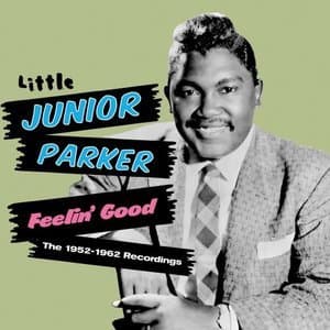 Feelin Good. The 1952-1962 Recordings