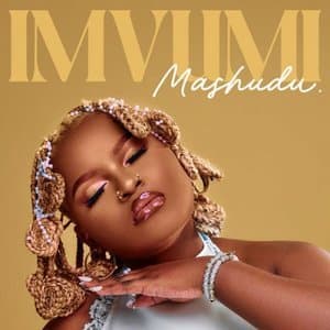 Imvumi