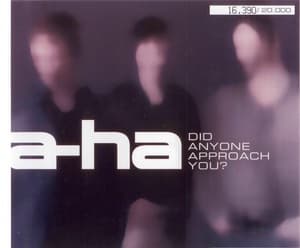 Did Anyone Approach You?