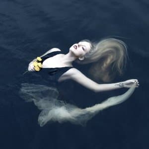 Silent Chamber, Noisy Heart