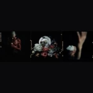 Триптих о человечине