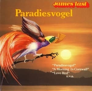 Paradiesvogel