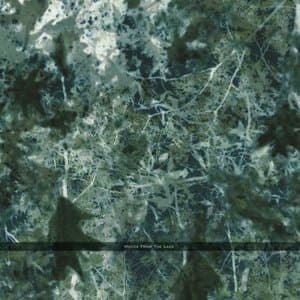 Voices From The Lake