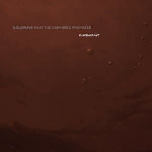 What The Darkness Proposes