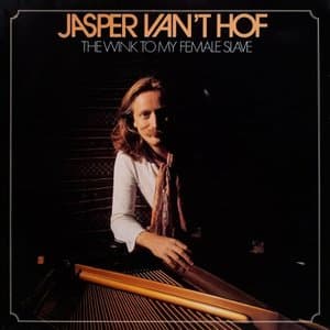 The Wink To My Female Slave