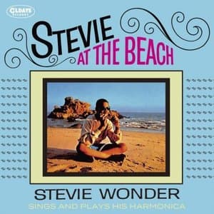 Stevie At the Beach