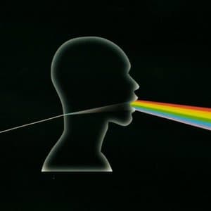 Dark Side Of The Moon A Cappella
