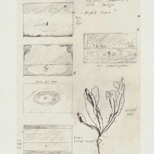 Music from The Cult of Water