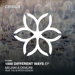 1000 Different Ways EP