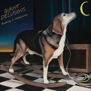 Basking in Irrelevance