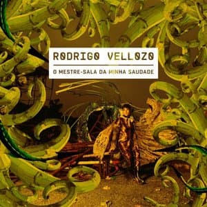 O mestre-sala da minha saudade