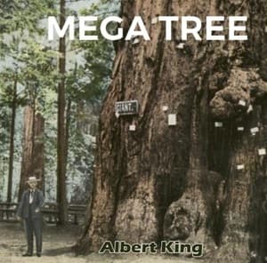 Mega Tree