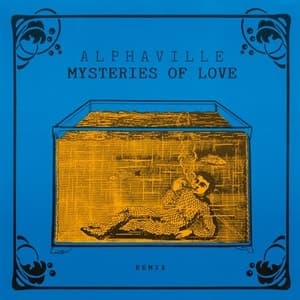 Mysteries Of Love (Remix)