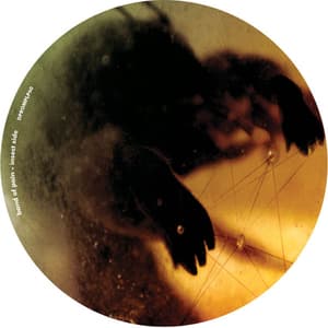 The Celebration of the Lizard / March of the Myriapoda