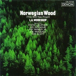 Norwegian Wood, Vol. 1