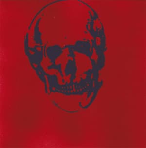 Live At 5000 Strings