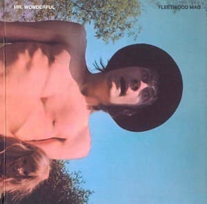 Mr. Wonderful (blue Horizon Boxset [1999] Disc 2)