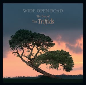  Wide Open Road (The Best Of The Triffids)