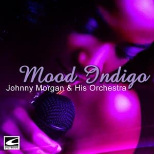 Mood Indigo