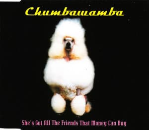 She's Got All The Friends That Money Can Buy