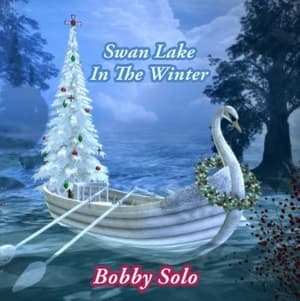 Swan Lake In The Winter