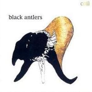 Black Antlers