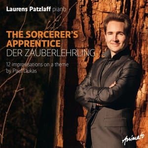 The Sorcerers Apprentice - Der Zauberlehrling
