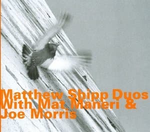 Duos with Mat Maneri & Joe Morris
