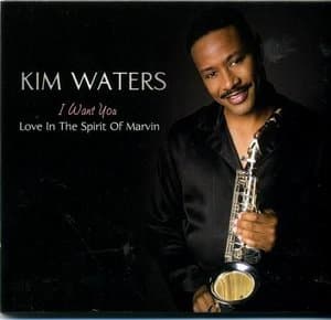 I Want You:Love In The Spirit Of Marvin