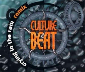 Crying In The Rain (Remix)