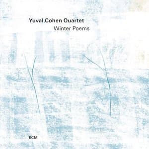 Winter Poems
